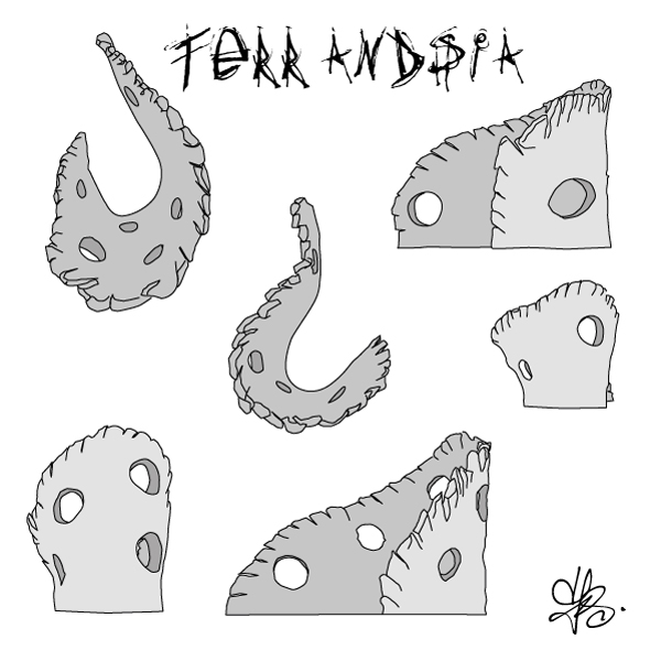 terrandsia tillandsia bergeri